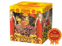 Красивая жизнь Фейерверк купить в Волгореченске | volgorechensk.salutsklad.ru