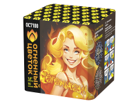 С огоньком! Фейерверк купить в Волгореченске | volgorechensk.salutsklad.ru