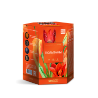 Тюльпаны Салют купить в Волгореченске | volgorechensk.salutsklad.ru