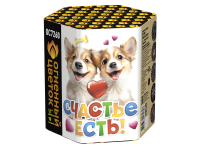 Счастье есть! Салют купить в Волгореченске | volgorechensk.salutsklad.ru