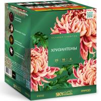 Хризантемы Фейерверк купить в Волгореченске | volgorechensk.salutsklad.ru