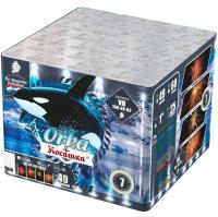 Косатка Фейерверк купить в Волгореченске | volgorechensk.salutsklad.ru