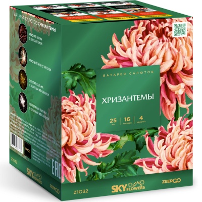 Хризантемы Фейерверк купить в Волгореченске | volgorechensk.salutsklad.ru