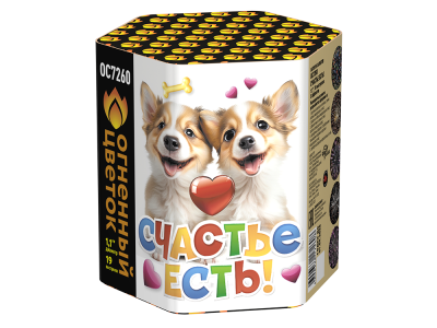 Счастье есть! Салют купить в Волгореченске | volgorechensk.salutsklad.ru