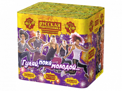 Гуляй, пока молодой Салют купить в Волгореченске | volgorechensk.salutsklad.ru